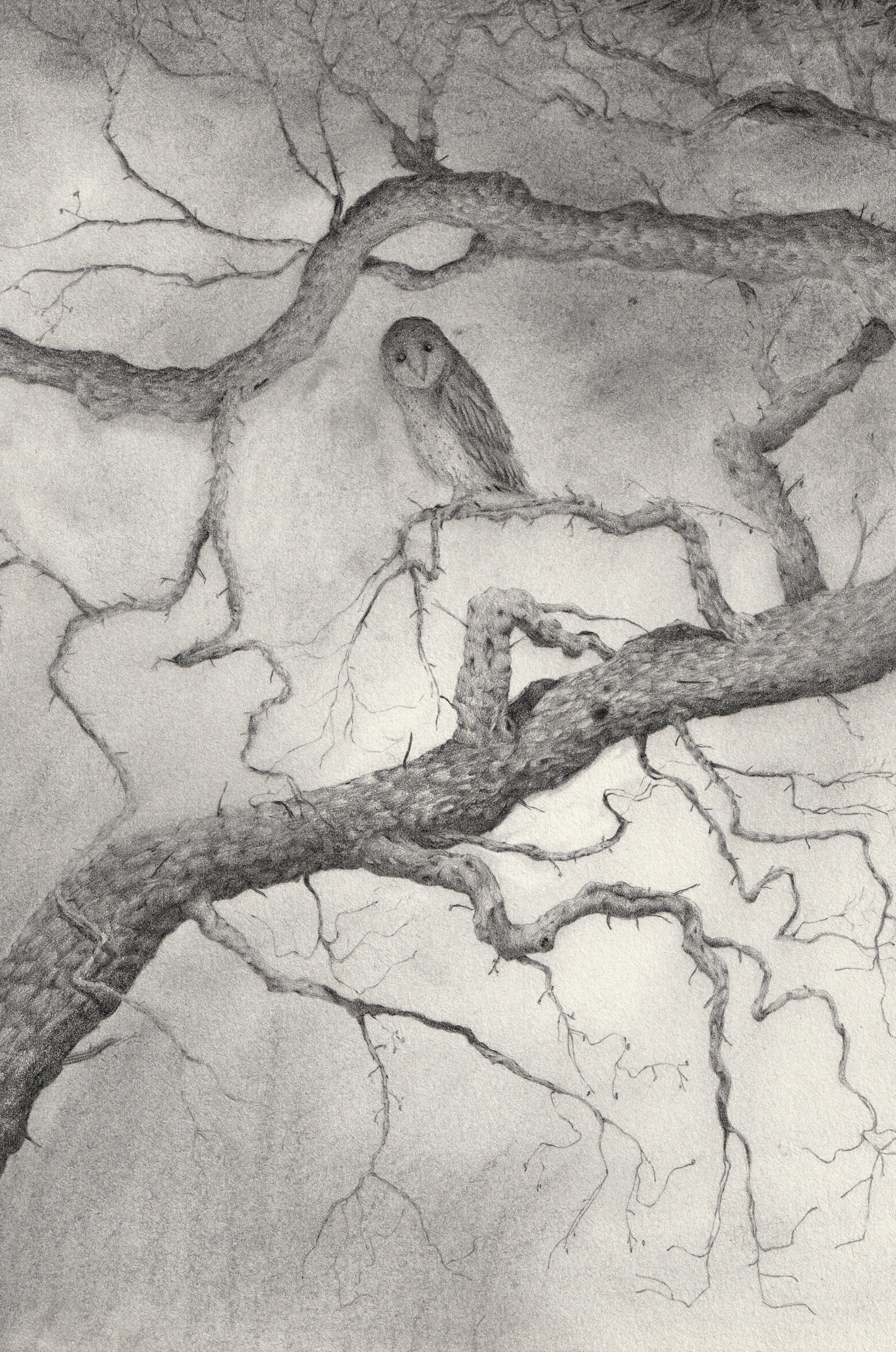 The coldest night of winter (2023), graphite on paper, 21 x 29 cm